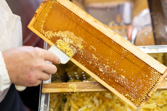 Caramelle miele e propoli quando mangiarle e a cosa servono
