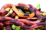 ANACONDA MAXI XXL GIGANTI 35g cm 28 GOMMOSI COLORATI SENZA GLUTINE BUSTA KG 1 Vidal shop online